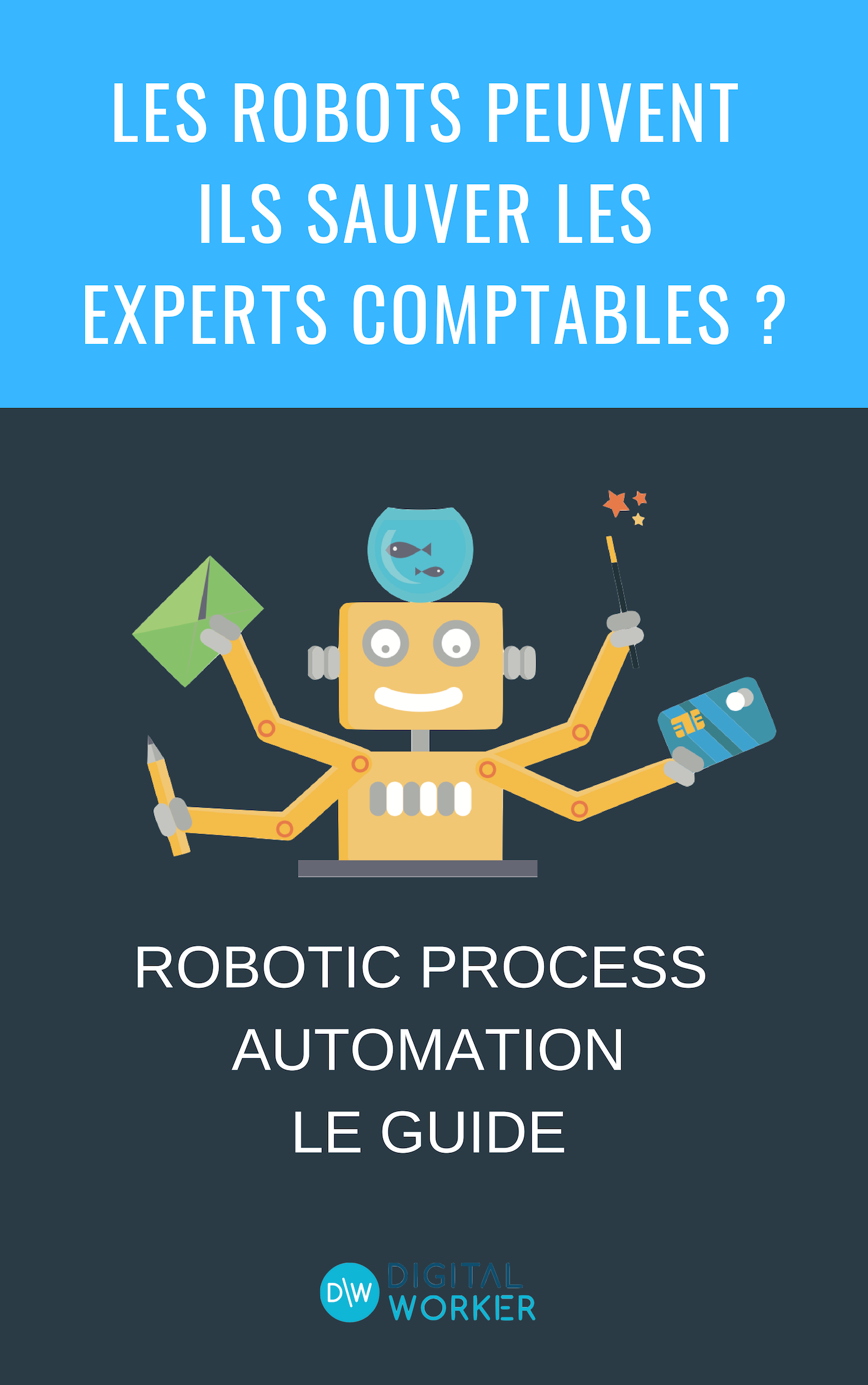 RPA Expert comptable_ RPA Expert comptable_